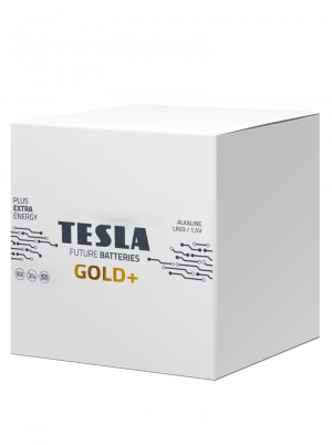 Caja AA Gold+